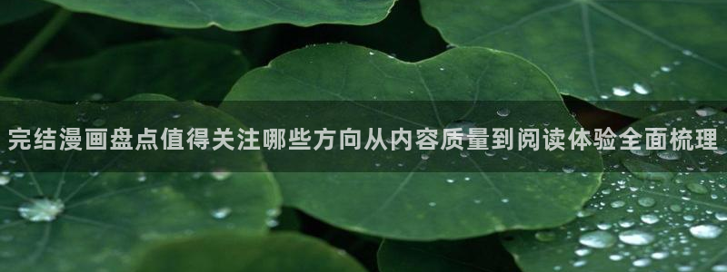 羞羞漫画漫画资源：完结漫画盘点值得关注哪些方向从内容质量到阅读体验全面梳理