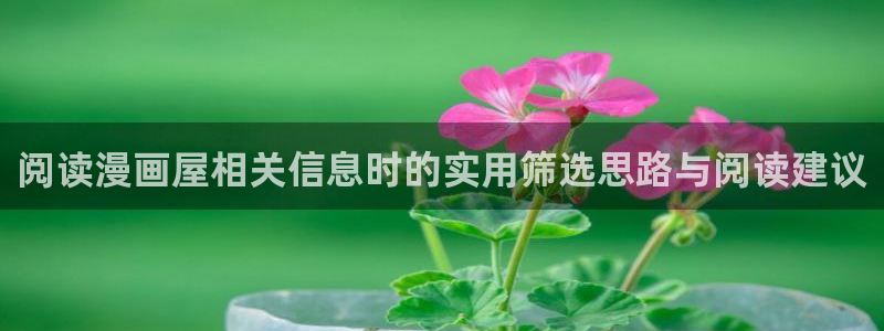 羞羞漫画网站最新地址:阅读漫画屋相关信息时的实用筛选思路与阅读建议